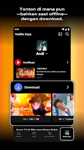 Netflix 2