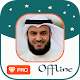 Mishary Rashid - Full MP3 Quran (Ad Free) Download on Windows