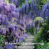 Expert Gardening Solutions icon