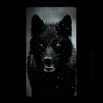 Cover Image of Download Black wolf wallpaper ultra 4k HD for phones 2 APK