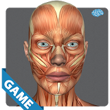 Muscular Anatomy Game icon