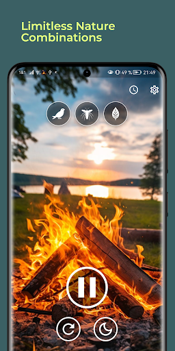 Campfire Ambience Screen 3