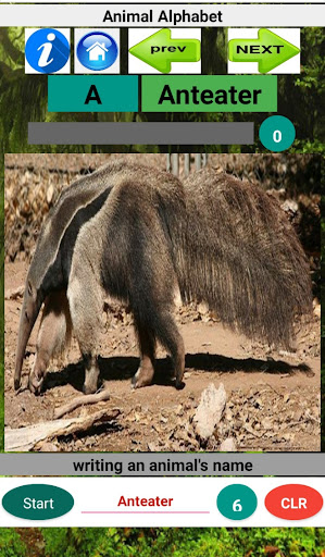 Animal Alphabet Screen 2