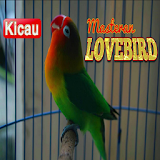 Masteran Kicau Burung Love Bird icon