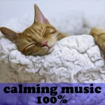 Cover Image of Download calming music for cats  APK