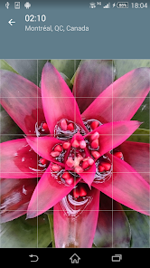 Imágen 4 Rompecabezas: Flores android