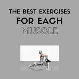 Best exercises for each muscle icon