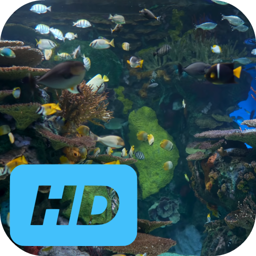 Sea Life Live Wallpaper
