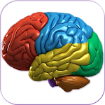 3D Human Brain Apk