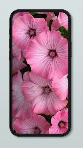 Flower Wallpaper HD 4k