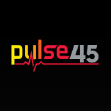 Pulse 45 Gainesville icon
