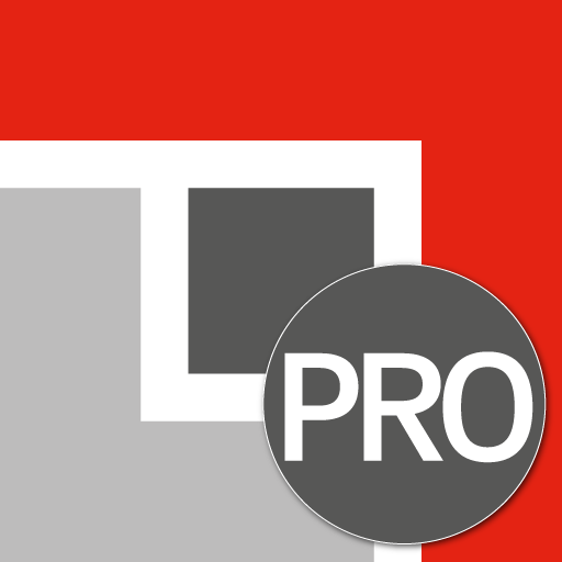 EMMA Professional logo