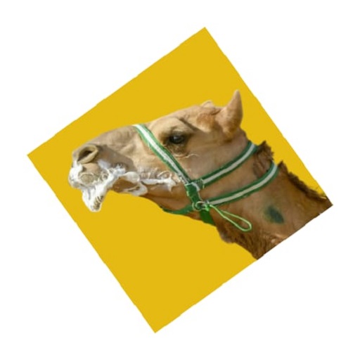 كنوز الهجن logo