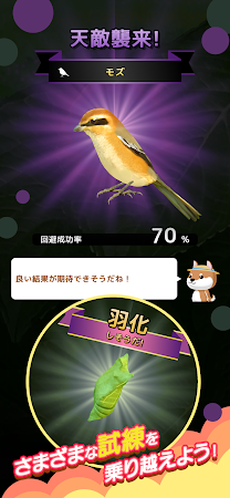 Game screenshot 虫育成ゲーム むしいく3 apk download
