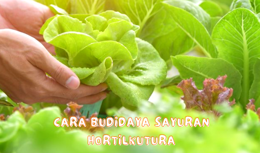 Cara Budidaya Hortilkutura