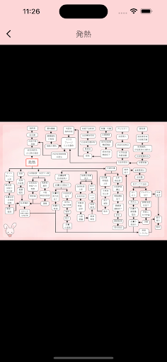 らくらく関連図・看護計画 Screenshot