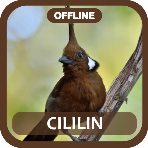 Masteran Cililin Juara Offline logo