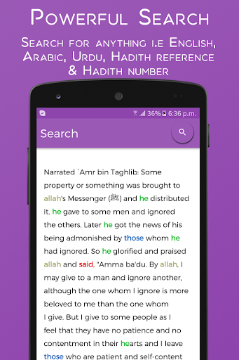 Hadith Collection 13 Books