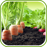 Top 38 Lifestyle Apps Like Latest Vegetable Garden Ideas - Best Alternatives