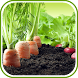 Vegetable Garden Design Ideas - Androidアプリ