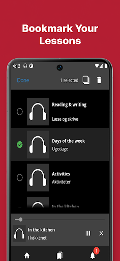 Fast - Learn Danish Language Screen 3
