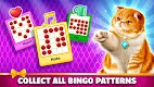 screenshot of Pet Bingo: Bingo Game 2024