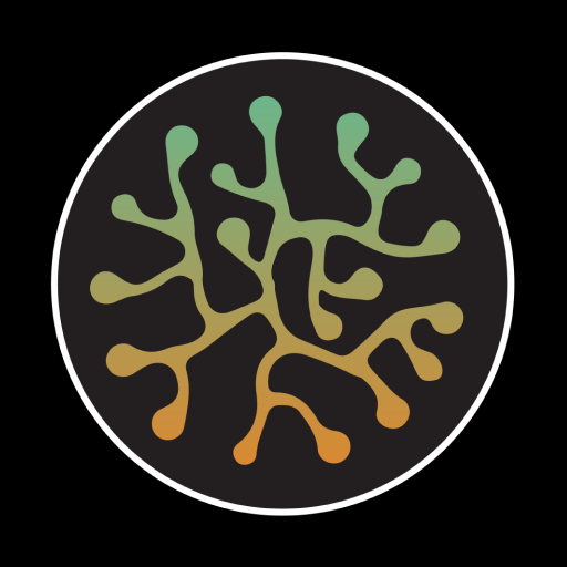 Vivo 360 logo