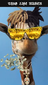 Lunette thug life sans fond 2025