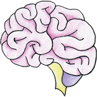 Brain Games