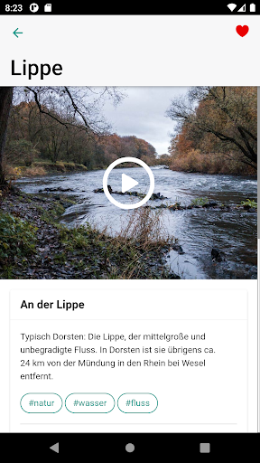 Dorsten akustisch Screen 2