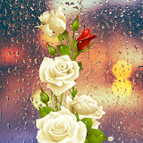 Rose Love Flower Icon icon