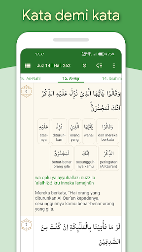 Al Qur'an dan Tafsir screenshot 4