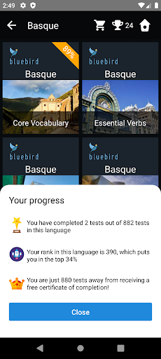 Basque Language Tests Screen 3