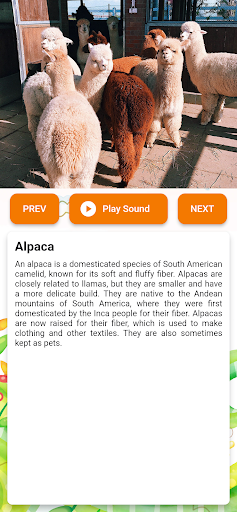 Animal Sound for Kids HQ Screen 2