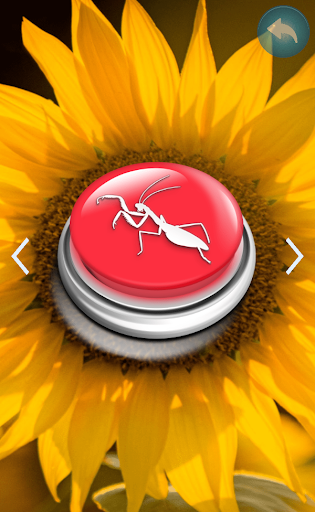 Insects sounds - prank