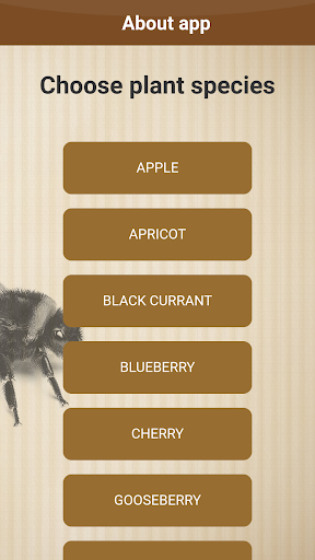 Bee Calculator Screen 2