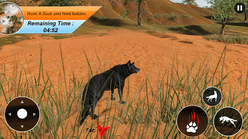 Wolf Family Virtual Adventure