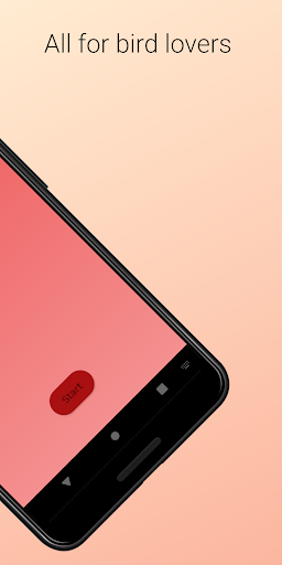 Bird Images and Facts