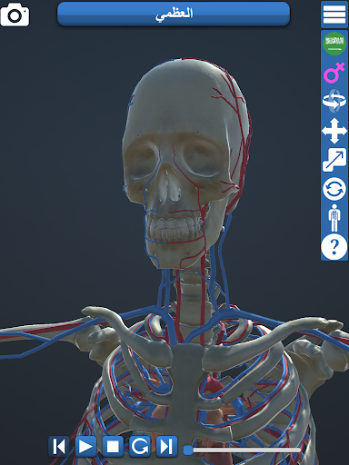 Anatomy 3D Screen 3