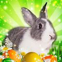 Herunterladen Hidden Object: Easter Egg Hunt Installieren Sie Neueste APK Downloader