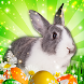Hidden Object: Easter Egg Hunt - Androidアプリ