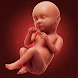 妊娠 アプリ・妊娠出産 アプリ：妊娠中 アプリ