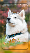 →