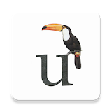 Bird Codes icon