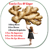 Concise Benefits Of Ginger icon