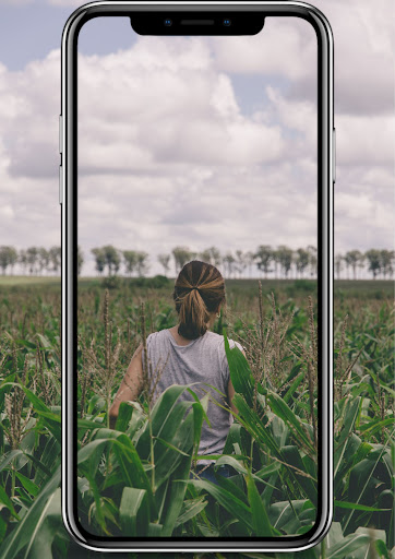 কৃষি সমস্যা সমাধান-Crop Doctor Screen 3