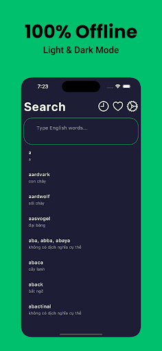 Vietnamese Dictionary English Screen 2