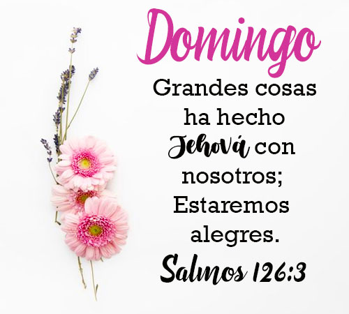 Biblia Dios Habla Hoy Screen 3