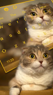 3D Live chubby Cute Kitty Keyboard