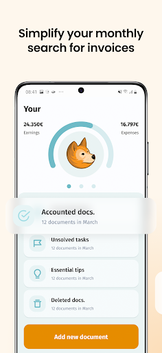 DingoDot - Accounting, Payment Screen 3